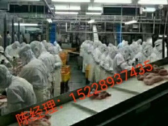 出國勞務 抓住國外雇主直招機遇，建筑工與工廠普工月薪高達3.5萬，天津移民與建筑工程新選擇